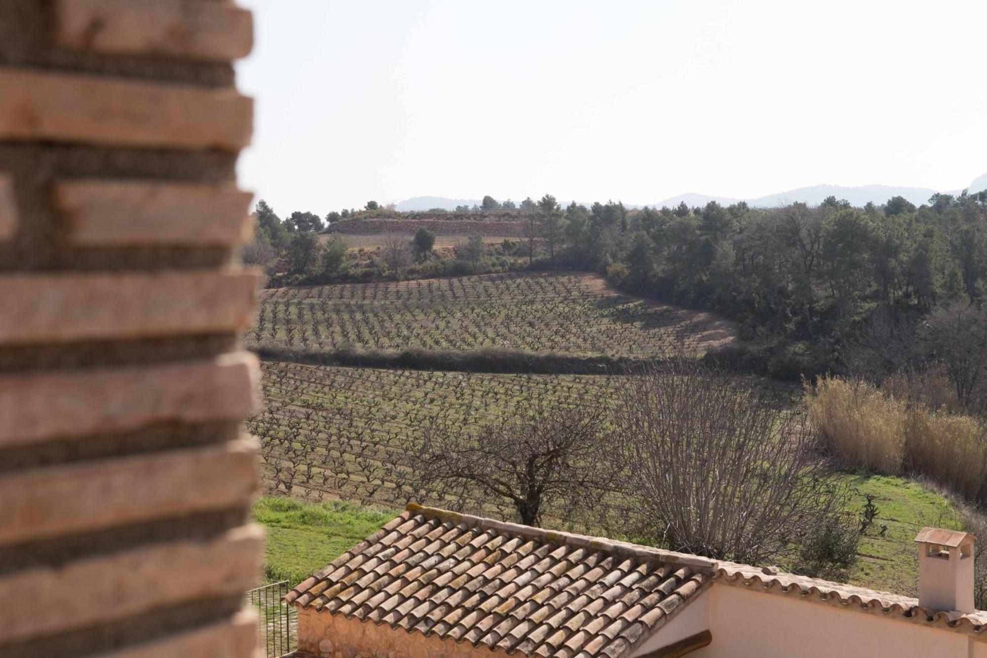 Casa Rural Masia Les Apieres El Pla de Manlleu Esterno foto